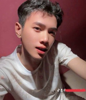 Mr đạt
